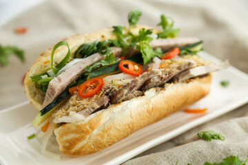 Vietnamese baguette with cucumber, onion, coriander and pepper served in dish isolated on table side view of fastfood