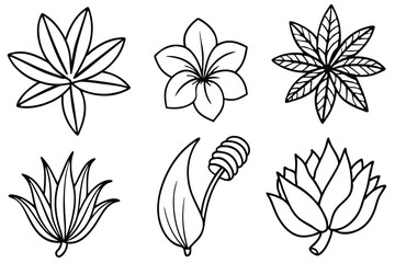 Botanical Hand Drawn Line Art Elegant floral designs