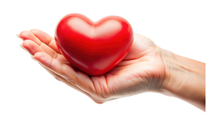 hand holding red heart isolated on transparent background
