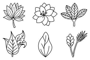 Botanical Hand Drawn Line Art Leafy designs in fine lines