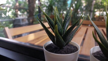 The Saint George's sword