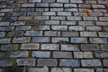 Old San Juan Road Bricks 