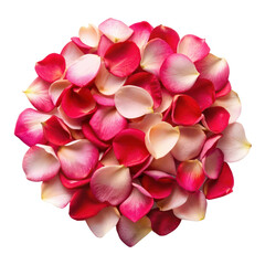 Fototapeta premium rose flower petals isolated on transparent background