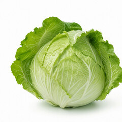 Fototapeta premium Cabbage vegetable, on white background