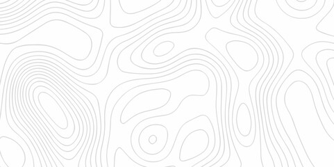 The stylize topography landscape grid map and counter wave line geometric wire outline area design. nature strip diagram topographic creative concept discovery line map texture background.
