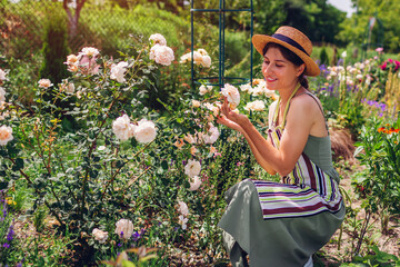 Young woman gardener checking rose flowers in summer garden after taking care of shrub. Enjoying...