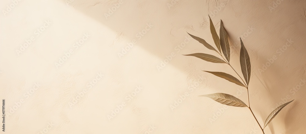 Poster copy space image of abstract natural leaf shadows on a beige wall texture background, perfect for a 