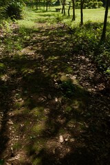 春の源氏山公園　鎌倉市