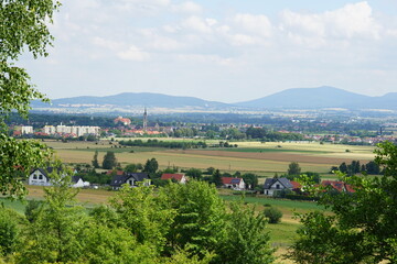 Cows, rural Poland, village, Fields, Góry Sowie, Mountains, bielawa, pieszyce, trekking, lower...