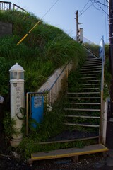 城ヶ島　城ヶ島公園の春の風景