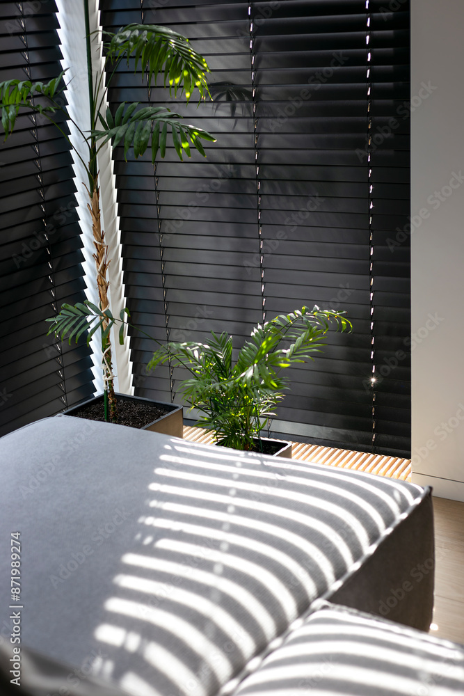 Poster black wooden venetian blinds automatic with horizontal slats, casting light and shadow patterns. woo
