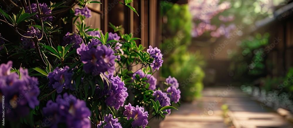 Poster Purple flowers bloom in the pine courtyard, creating a serene backdrop with ample copy space image.