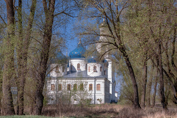 Serene Church in the Woods