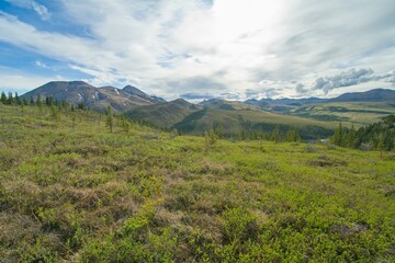 view from highway top of the world