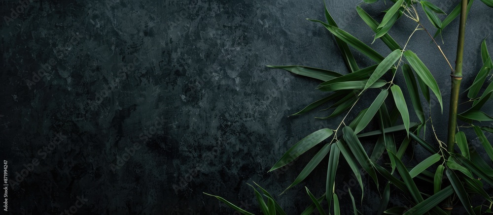 Poster bamboo branches set against a dark background with ample copy space image.