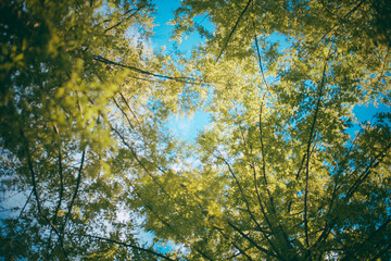 하트가 보이는 하늘