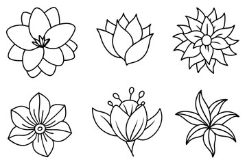 Floral Line Art Detailed floral outlines in art