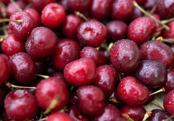 Cherry with drops of water, background, texture. Lots of cherries, top view. Cherry for background and screensaver. Cherry berry wallpaper, background. Bunch of red cherries with water drops.