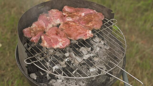 Grill barbecue w ogrodzie, mięso leży na rozpalonym grillu