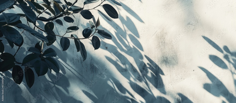 Leinwandbilder minimalist style background created by leaf shadows on house walls with copy space image.