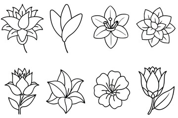 Floral Line Art Simple floral drawings in detail