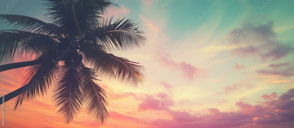 Aufkleber silhouette of a tropical palm tree against a sunset sky with a cloudy abstract background creates a 