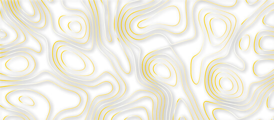 Abstract topographic contours 3d map background .topographic line texture background .monochrome image .stylized height of the topographic map contour in lines.	