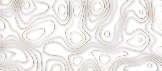 Abstract topographic contours 3d map background .topographic line texture background .monochrome image .stylized height of the topographic map contour in lines.	