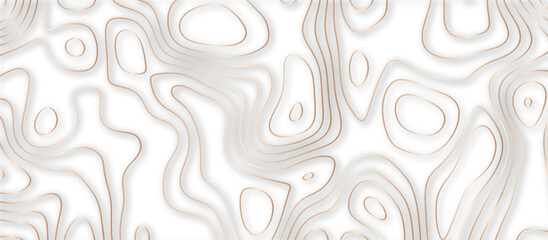 Abstract topographic contours 3d map background .topographic line texture background .monochrome image .stylized height of the topographic map contour in lines.	