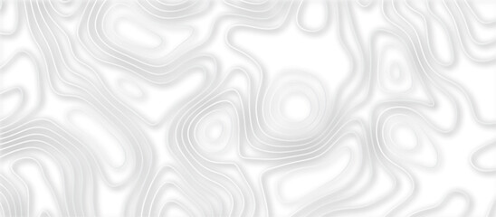 Abstract topographic contours 3d map background .topographic line texture background .monochrome image .stylized height of the topographic map contour in lines.	