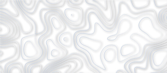 Abstract topographic contours 3d map background .topographic line texture background .monochrome image .stylized height of the topographic map contour in lines.	