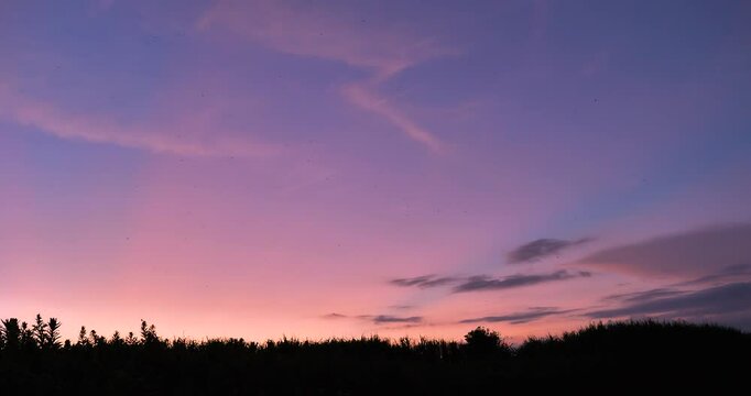 sunset sky with some birds over the field