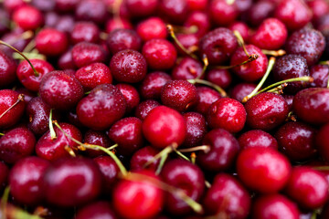 Cherry with drops of water, background, texture. Lots of cherries, top view. Cherry for background and screensaver. Cherry berry wallpaper, background. Bunch of red cherries with water drops.