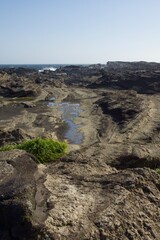 城ヶ島　城ヶ島公園の春の風景