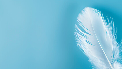 Fototapeta premium Single White Feather on a Light Blue Background with Copy Space