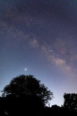 Milky Way over trees, Jehanabad, Bihar India