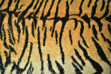 Tiger skin texture, tiger stripes background