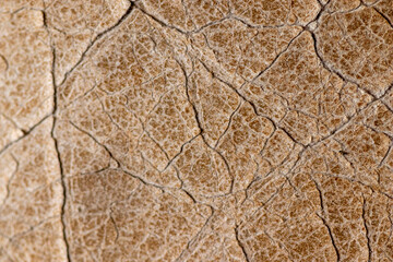 Textura tierra. Paisaje natural.  