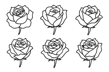 Rose Flower Line Art Detailed rose outlines with artistic flair