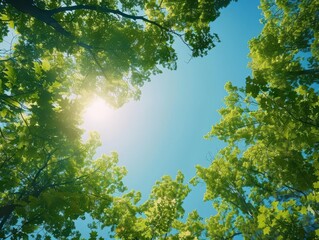 inspiring environmental portrait lush green treetops reaching towards clear blue sky viewed from below sunlight filters through leaves creating a sense of hope and renewal for earth day