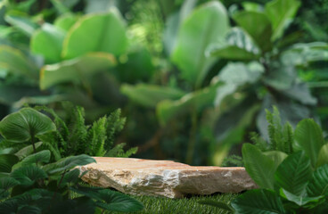 Stone tabletop podium floor in outdoors tropical garden forest blurred green leaf plant nature background.Natural product placement pedestal stand display,jungle paradise concept.