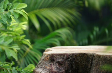 Wood podium table top floor in outdoors tropical garden forest blurred green leaf plant nature background.Natural product placement pedestal stand display,jungle paradise concept.