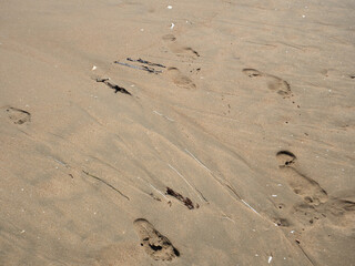 Footprints and Traces of Waves on the Wet Sand