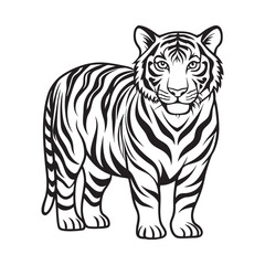 Fototapeta premium A black and white tiger face