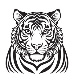 Fototapeta premium A black and white tiger face