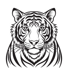 Fototapeta premium A black and white tiger face