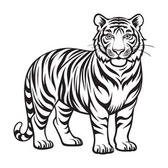 Fototapeta premium A black and white tiger face