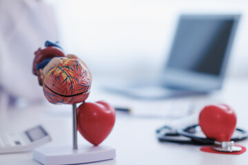realistic looking heart model on the table of doctor is symbol of campaign to care for health of heart disease patients and encourage people at risk of heart disease to come in for regular check ups.