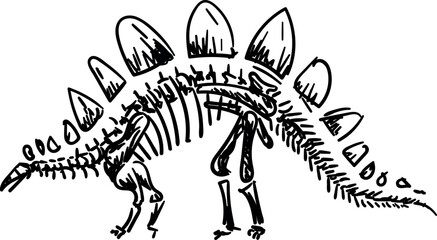 Stegosaurus skeletons. Dino bones. Remains of ancient animals vector illustration set
