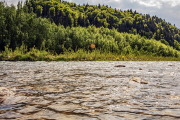Landscapes -  Forest - Europe, Romania, Suceava region